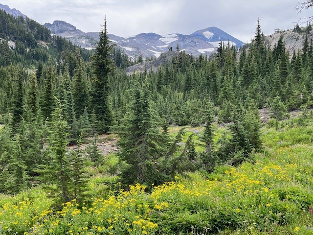 Obsidian Trail
