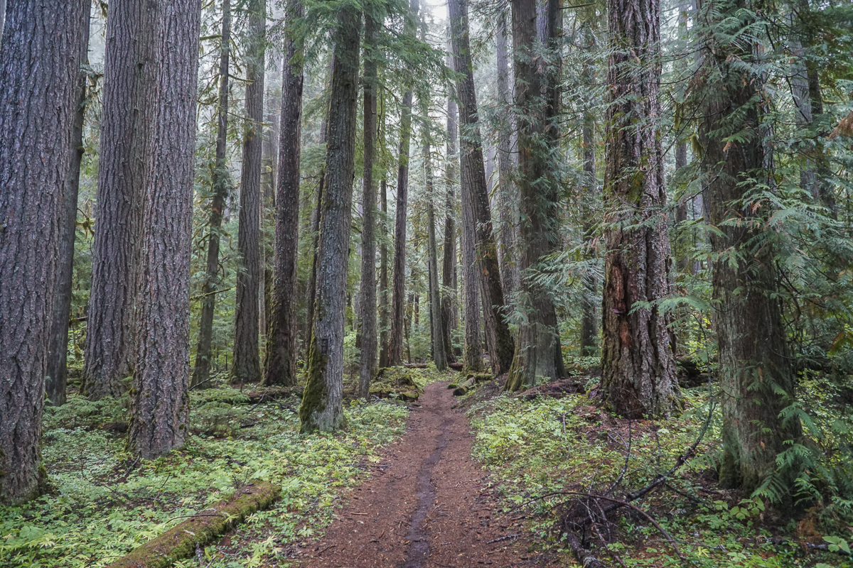 Pamelia Lake